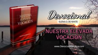 29 de julio | Devocional: Nuestra Elevada Vocación | En la luz del sol de Cristo