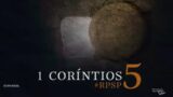 1 Corintios 5 | Resumen: Reavivados por su Palabra | Pr. Adolfo Suárez