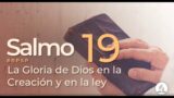 Salmo 19 | Reavivados Por Su Palabra | #RPSP