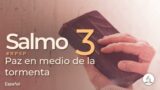 Salmo 3 | Reavivados Por Su Palabra | #RPSP