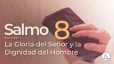 Salmo 8 | Reavivados Por Su Palabra | #RPSP