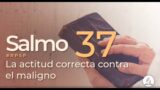 Salmo 37 | Reavivados Por Su Palabra | #RPSP