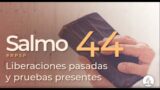 Salmo 44 | Reavivados Por Su Palabra | #RPSP