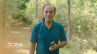 27 de agosto | Reaccionando ante las crisis | Toda Palabra | Pr. Robert Costa