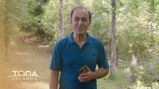 3 de septiembre | Rompiendo el silencio | Toda Palabra | Pr. Robert Costa