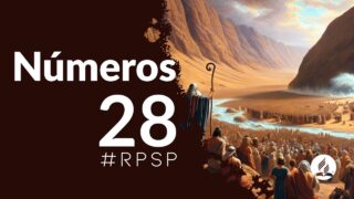Números 28 | Reavivados Por Su Palabra | #RPSP