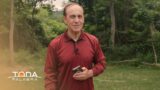 17 de octubre | Cuando perdemos un ser querido | Toda Palabra | Pr. Robert Costa