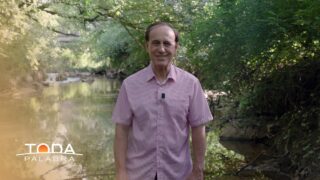 10 de diciembre | La indecisión y la timidez Pt. 2 | Toda Palabra | Pr. Robert Costa