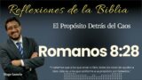 ROMANOS 8: 28: El Propósito Detrás del Caos | Hugo Lamela