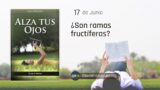 17 de junio | Devocional: Alza Tus Ojos | ¿Son ramas fructíferas?