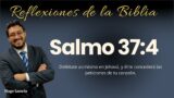 SALMO 37:4: Deléitate asimismo en Jehová, y él te concederá las peticiones de tu corazón | Hugo Lamela