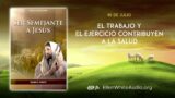 10 de julio | Devocional: Ser Semejante a Jesús | El trabajo y el ejercicio contribuyen a la salud