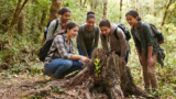 Viernes 10 de julio del 2026 | Devoción Matutina para Adolescentes 2026 | La esperanza que revive como un árbol cortado
