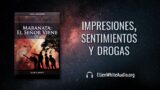 13 de agosto | Devocional: Maranata: El Señor Viene | Impresiones, sentimientos y drogas