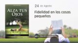 24 de agosto | Devocional: Alza Tus Ojos | Fidelidad en las cosas pequeñas