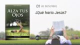 1 de septiembre | Devocional: Alza Tus Ojos | ¿Qué haría Jesús?