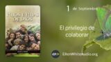 1 de septiembre | Devocional: Hijos e Hijas de Dios | El privilegio de colaborar