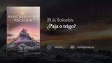 28 de septiembre | Devocional: Nuestra Elevada Vocación | ¿Paja o trigo?