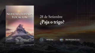 28 de septiembre | Devocional: Nuestra Elevada Vocación | ¿Paja o trigo?